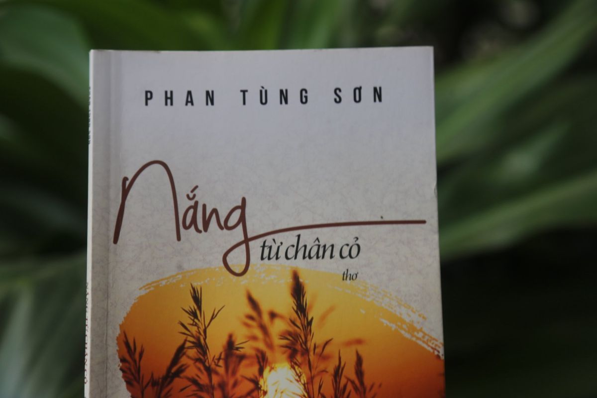 NẮNG TỪ CH&Acirc;N CỎ - SỰ TĨNH LẶNG RỰC RỠ