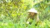 Chuyến Xe Nh&acirc;n &Aacute;i: X&oacute;t xa ho&agrave;n cảnh gồng g&aacute;nh nu&ocirc;i vợ mắc bệnh hiểm ngh&egrave;o