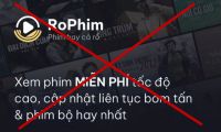 RỔ PHIM Đ&Oacute;NG CỬA